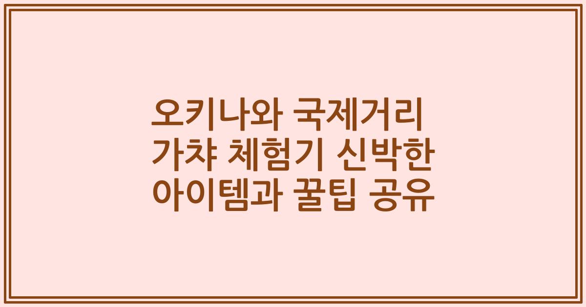 오키나와 국제거리 가챠 체험기 신박한 아이템과 꿀팁 공유