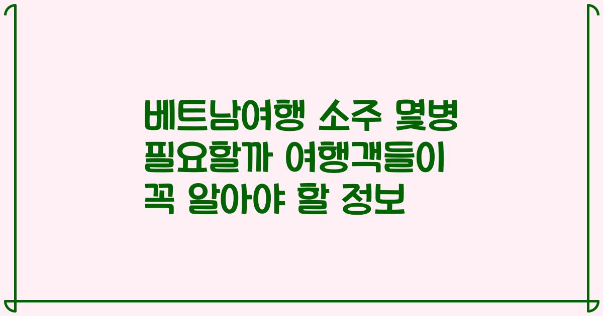 베트남여행 소주 몇병 필요할까 여행객들이 꼭 알아야 할 정보